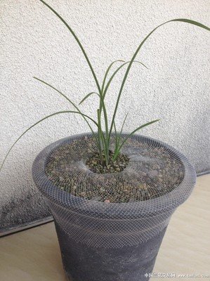 小胡老师