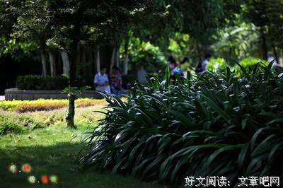 那年的夏天很长