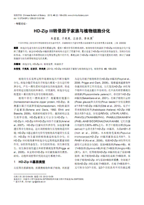 于亮亮