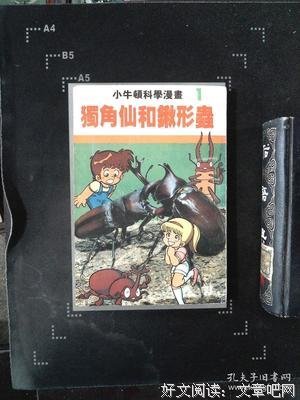 小仙虫