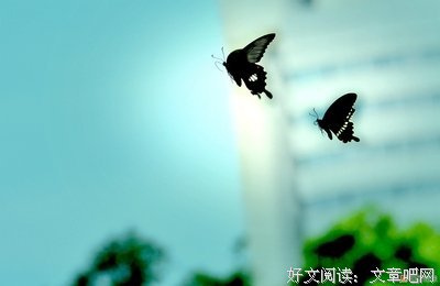 化蝶
