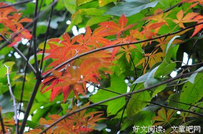 情谊