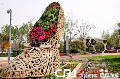 静待绽放