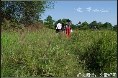 故乡与故人