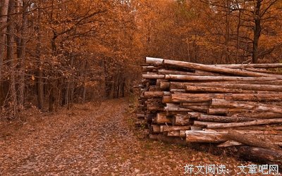 看淡