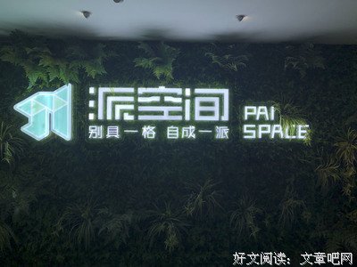 心有所栖