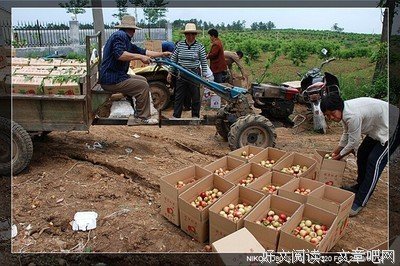 没有归人的故乡