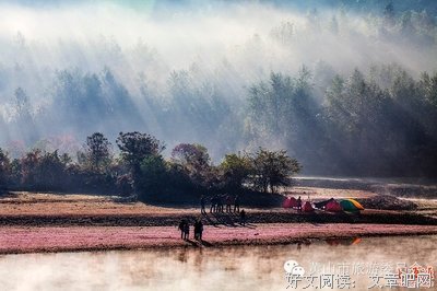 搁浅的秋日