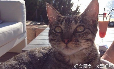 黎明