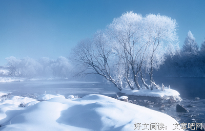去了哈尔滨