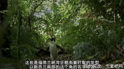 暮夜行