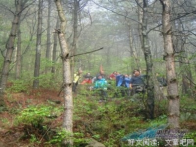 山中等待