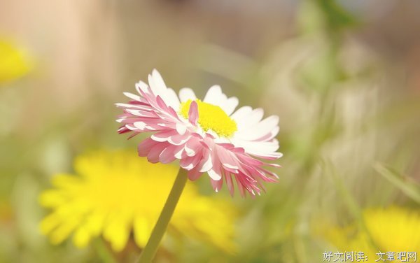 清醒
