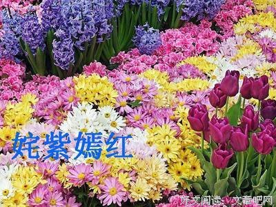 自己