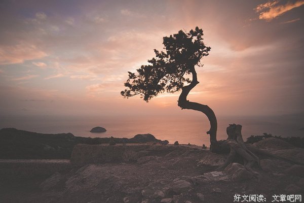 孤独的自己