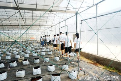  “七月上”社会实践队之我的第一次外出
