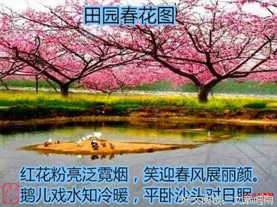 小诗四首