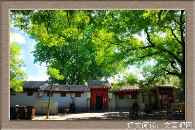 关于童年的记忆