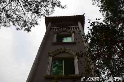 不一样的映山红