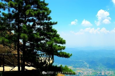 火辣辣之夏日
