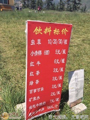 感谢你的路过