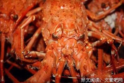 把爸爸给买回来
