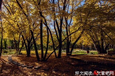 秋静
