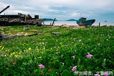 轮回的生命