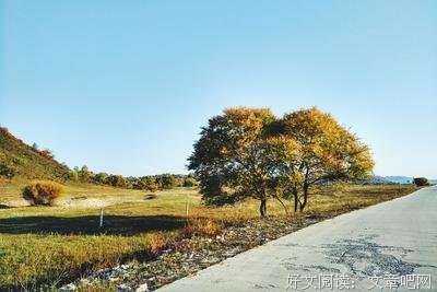 两颗树