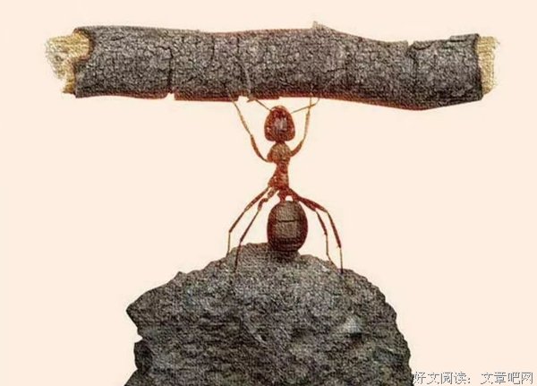 想改变命运，首先改变自己