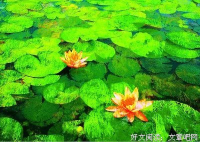抱怨是一种毒药，心好，一切都好