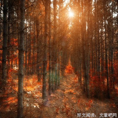 分享：几个有趣的心理学现象