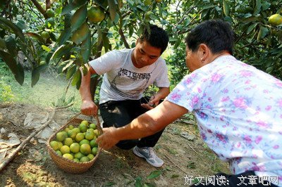 分享：母亲给的尊严