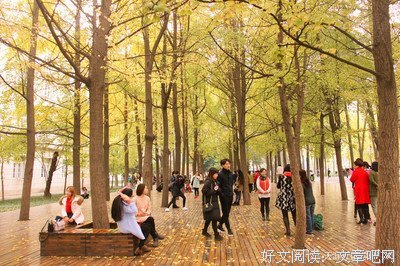 游子的太阳