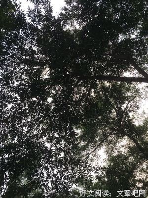 想着未来的孤独