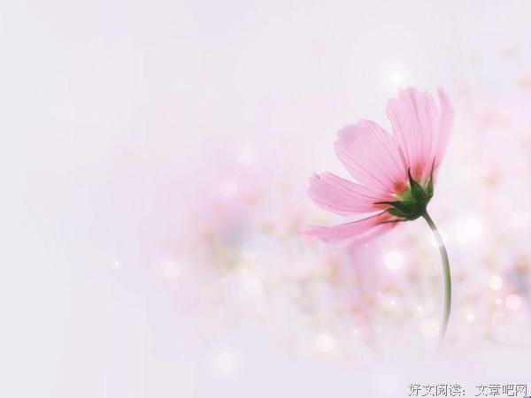 我的美好时光