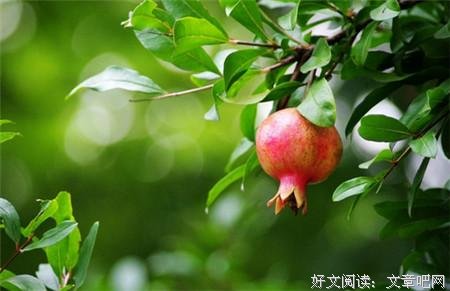 春光很美 ，我不想辜负