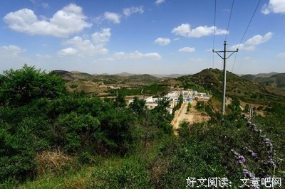夏日邂逅