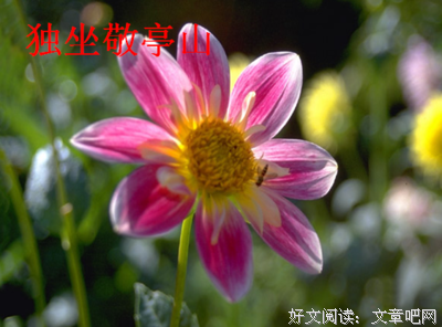 我读思《独坐敬亭山》