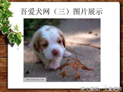 吾爱吾师，吾更爱真理