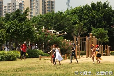 一苇之缘