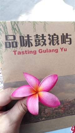 月上东山为谁圆