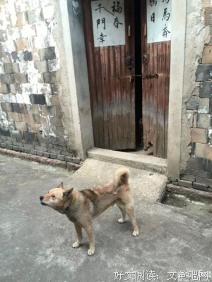 半日红楼梦未醒