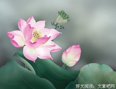 杂感