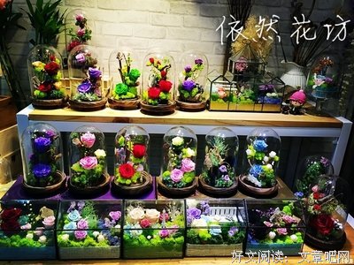 爱她，就请大声喊出她的名字