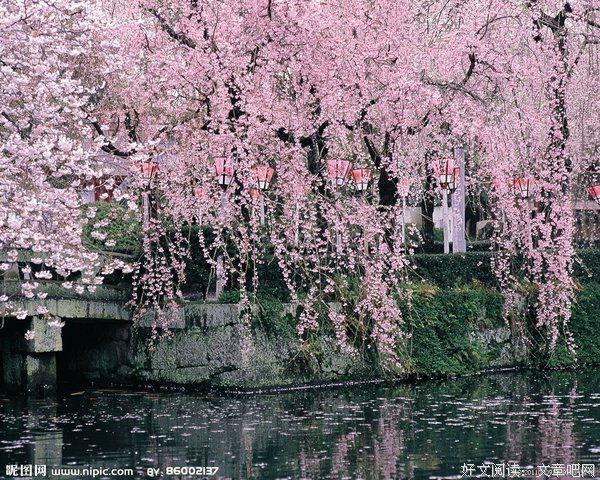 桃花节教育情：课堂九问
