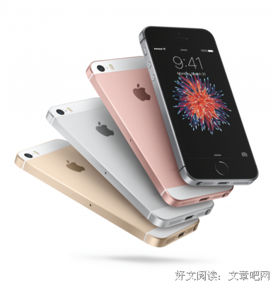 苹果里面有什么？