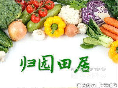 归田园居