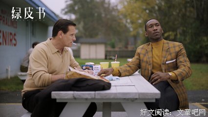 绿皮书