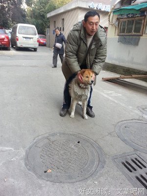 是“骑虎难下”还是“骑狗难下”